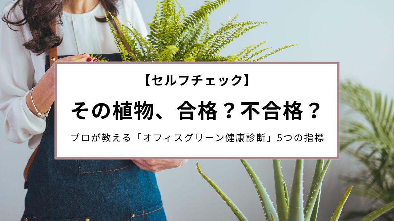 プロが教える「オフィスグリーン健康診断」5つの指標